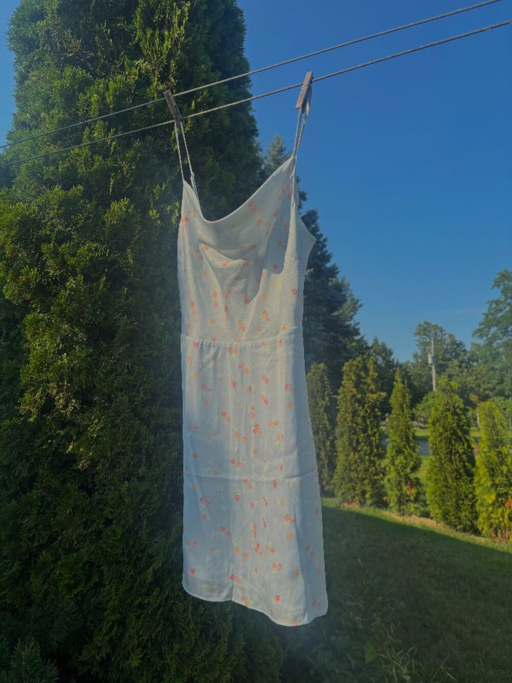 Aritzia Blue & Floral Slip Dress